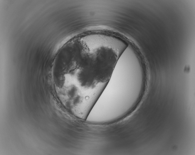 X0000112780921200908201410