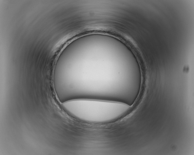 X0000112780922200908201410