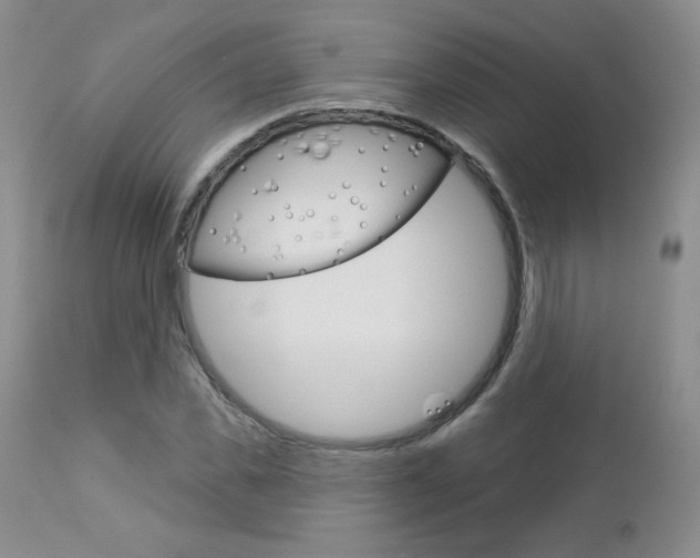 X0000112780925200908201410