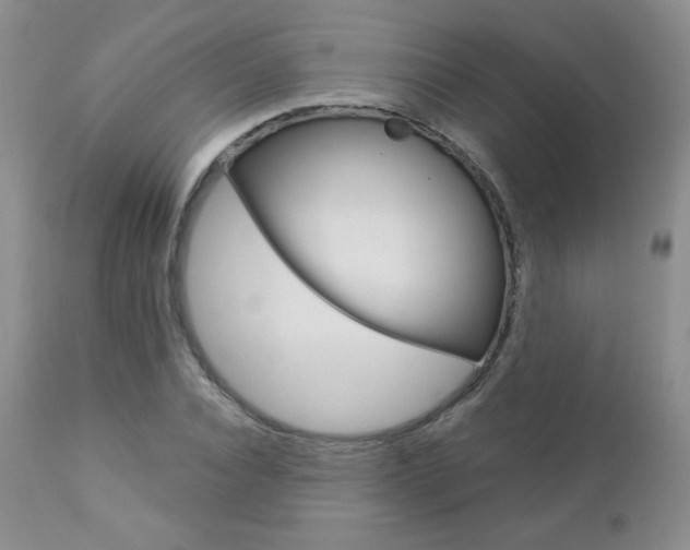 X0000112780928200908201410
