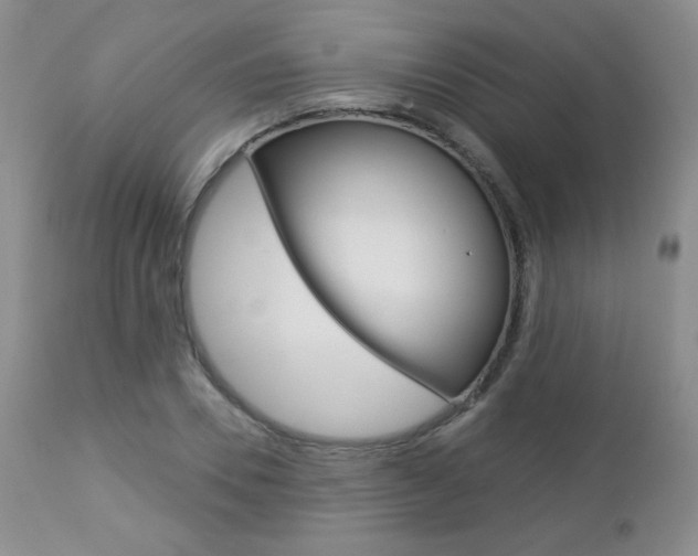 X0000112780930200908201410