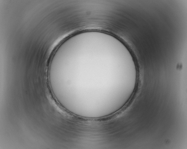 X0000112780933200908201410