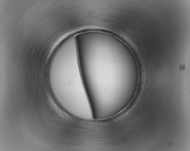 X0000112780934200908201410