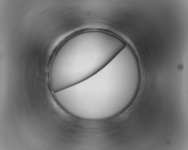 X0000112780935200908201410