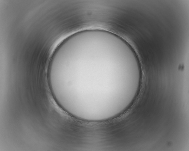 X0000112780936200908201410