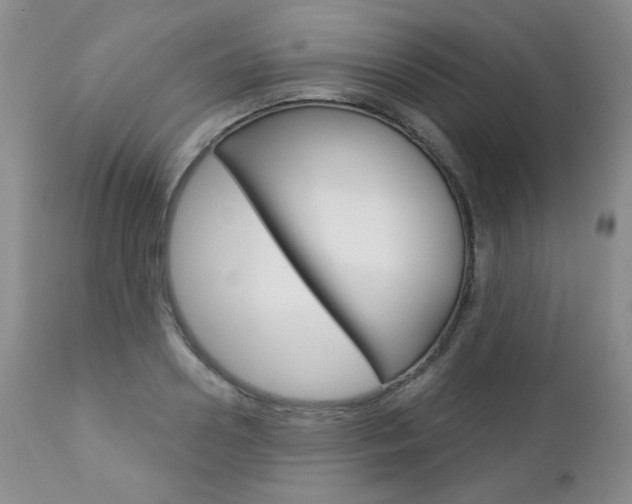 X0000112780938200908201410