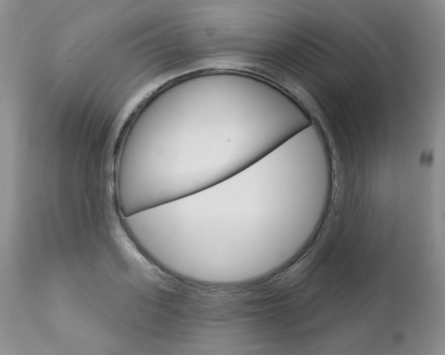 X0000112780939200908201410