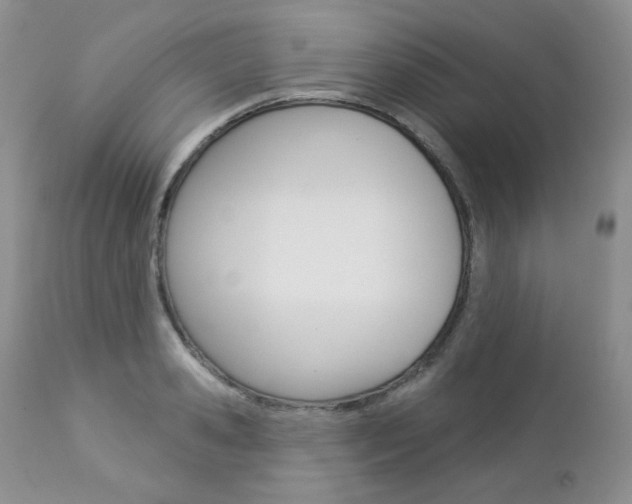 X0000112780941200908201410