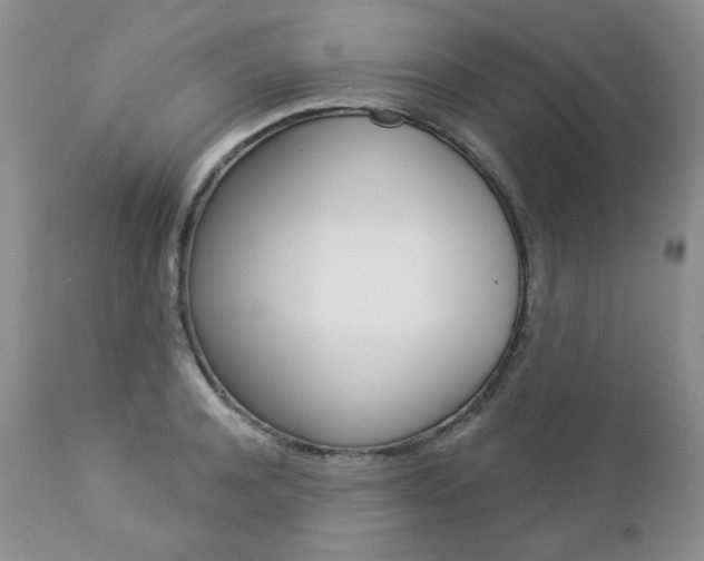 X0000112780944200908201410