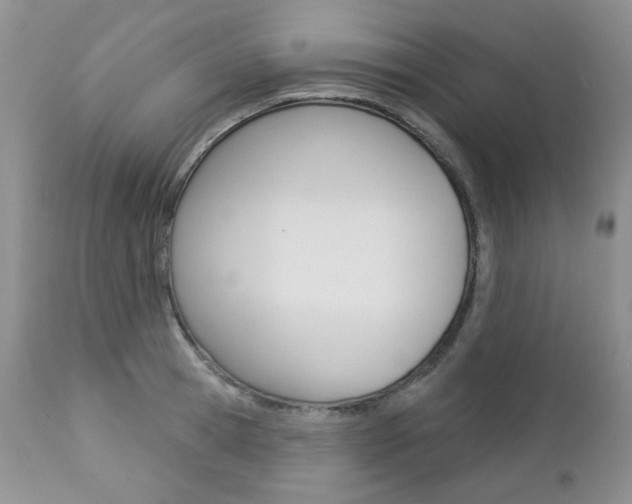 X0000112780945200908201410