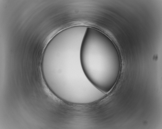 X0000112780946200908201410