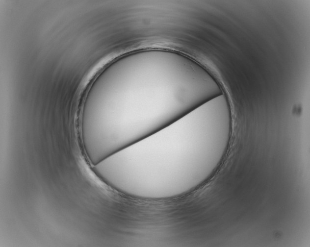 X0000112780947200908201410