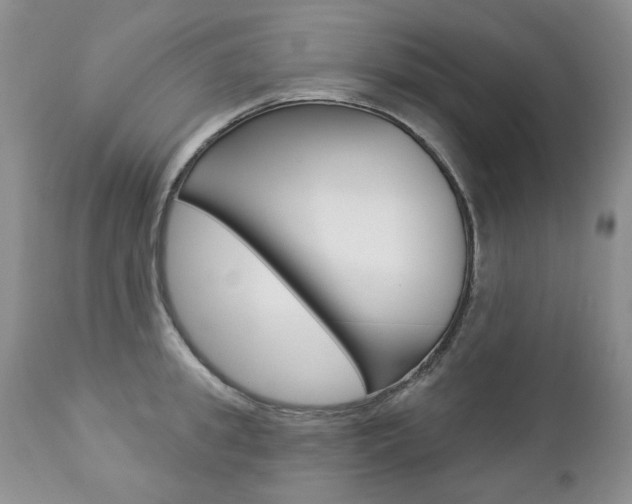 X0000112780949200908201410