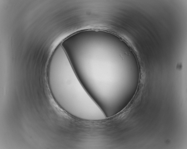 X0000112780952200908201410