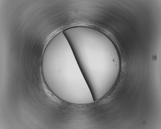 X0000112780954200908201411