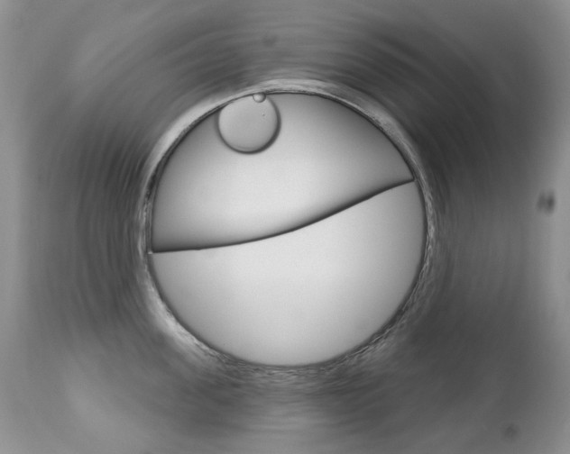 X0000112780955200908201411