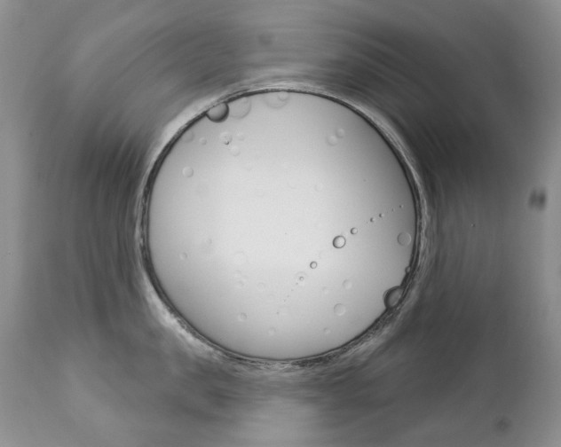 X0000112780957200908201411