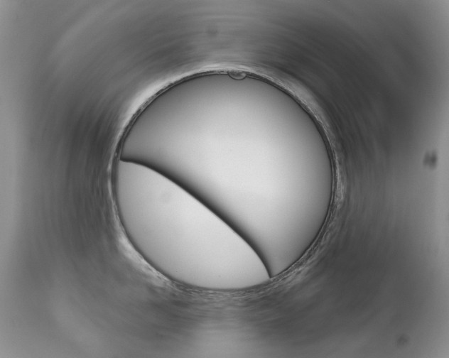 X0000112780958200908201411