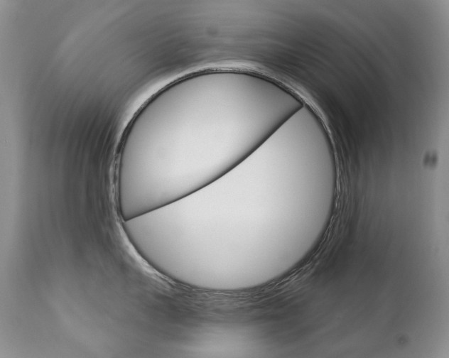 X0000112780959200908201411