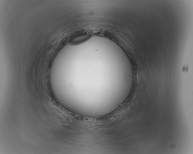 X0000112780961200908201410