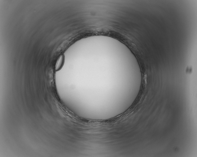 X0000112780963200908201410