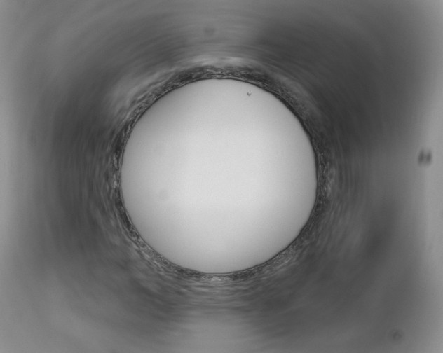 X0000112780966200908201410