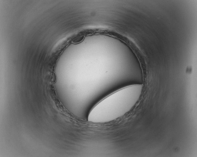 X0000112780967200908201410