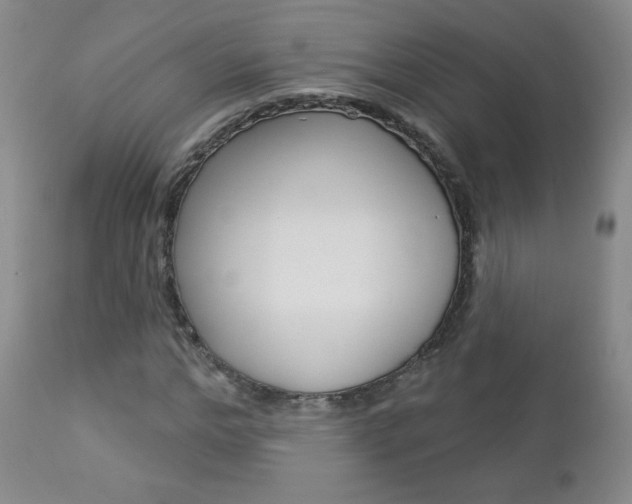 X0000112780968200908201410