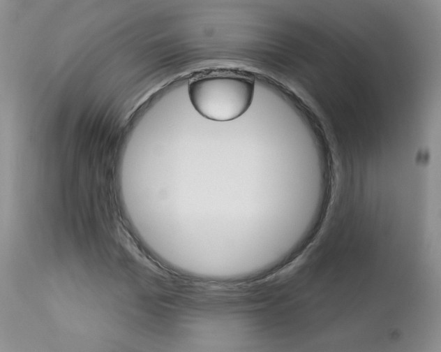 X0000112780969200908201410