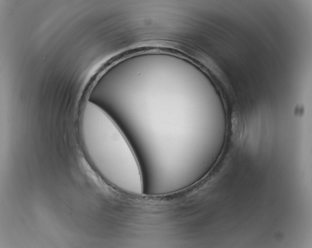 X0000112780972200908201410