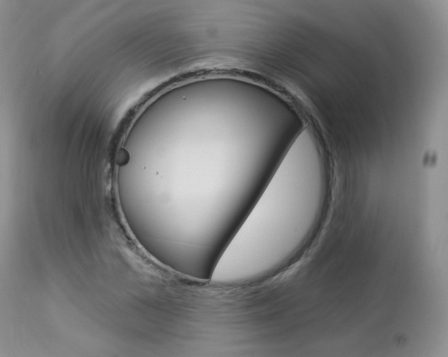 X0000112780973200908201410