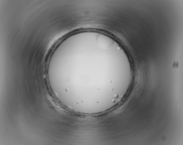 X0000112780974200908201410