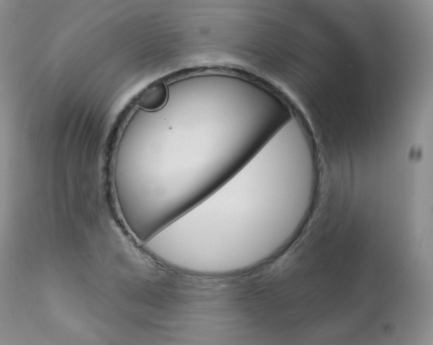 X0000112780975200908201410