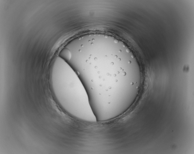 X0000112780978200908201410