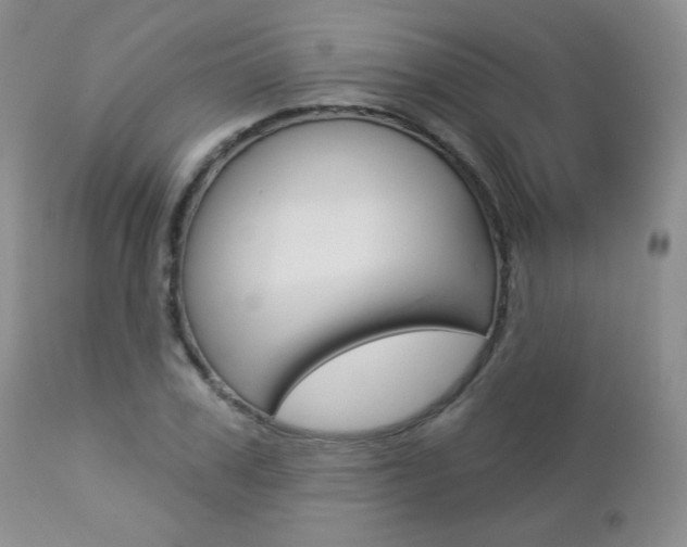 X0000112780979200908201410