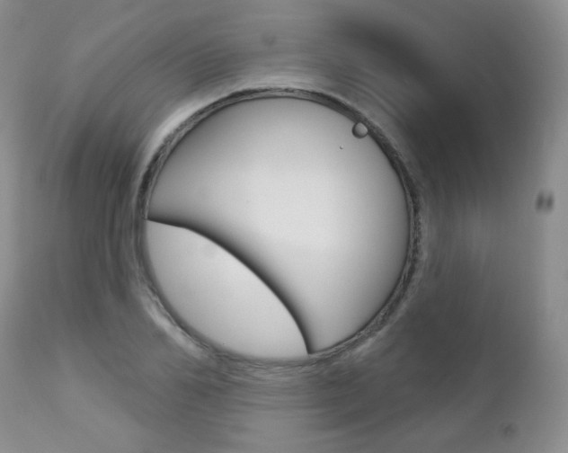 X0000112780982200908201410