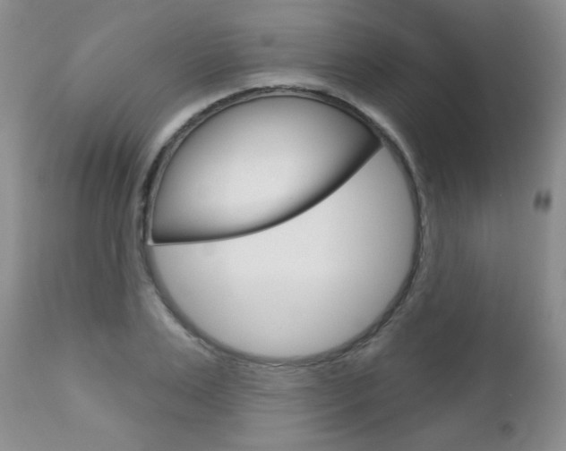 X0000112780983200908201410