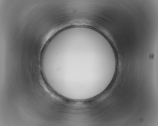 X0000112780986200908201410