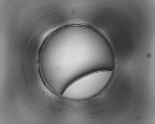 X0000112780987200908201410