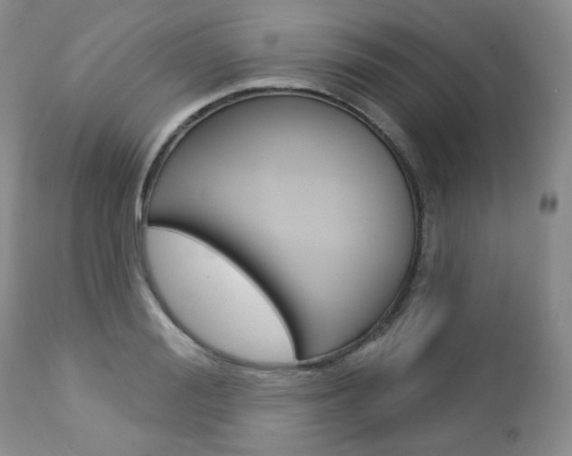 X0000112780988200908201410