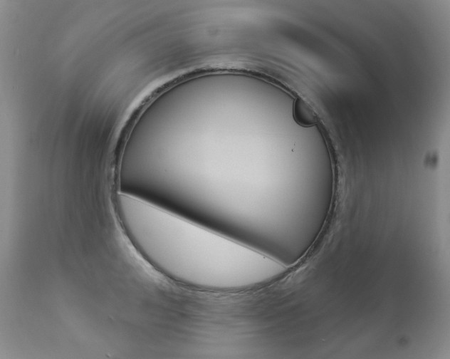 X0000112780992200908201409