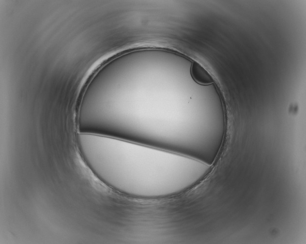 X0000112780996200908201409