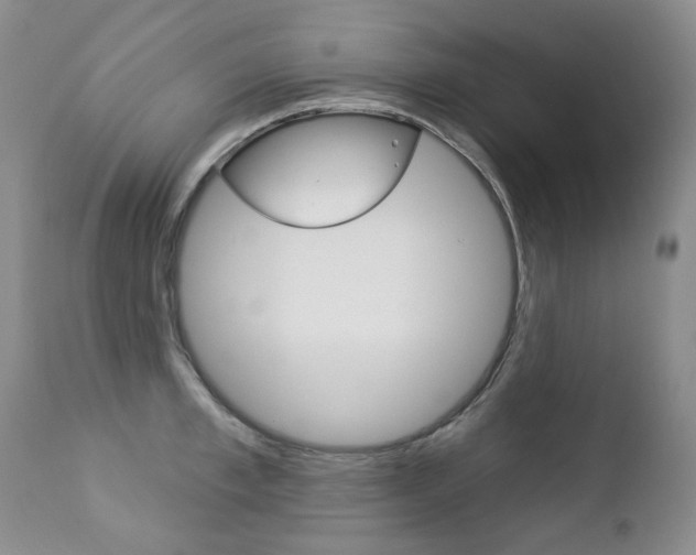 X0000112780997200908201409