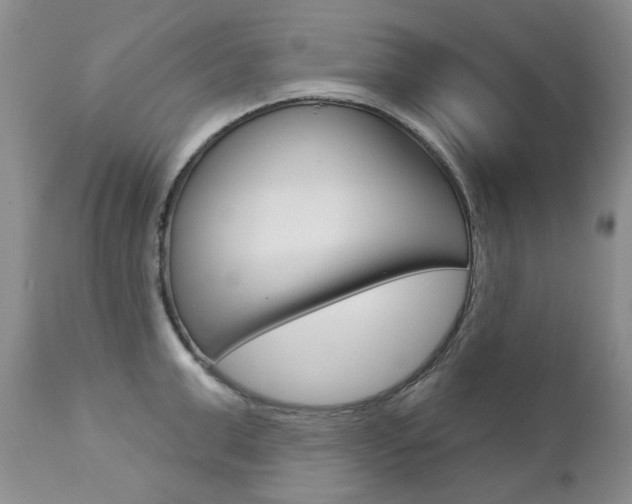 X0000112780999200908201409