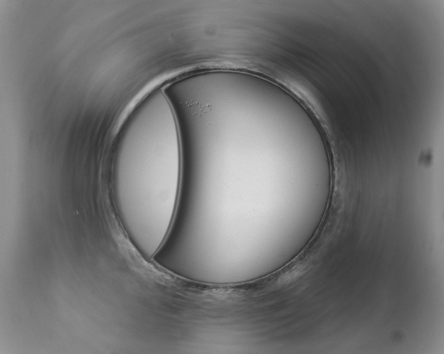 X0000112781000200908201409