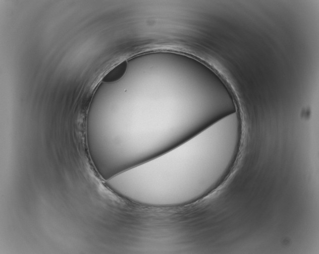 X0000112781001200908201409
