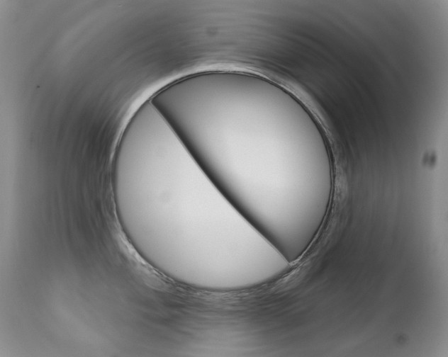 X0000112781004200908201409