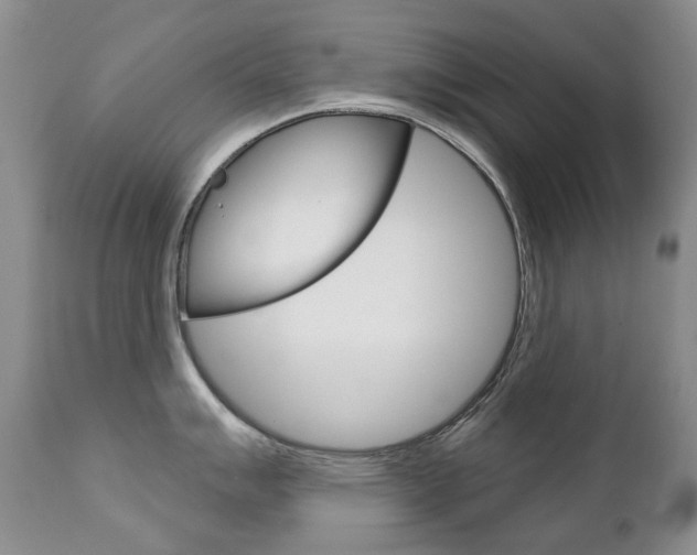 X0000112781007200908201409