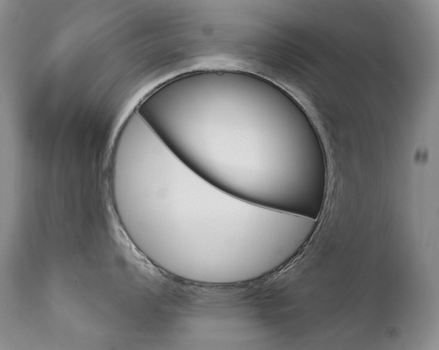 X0000112781008200908201409