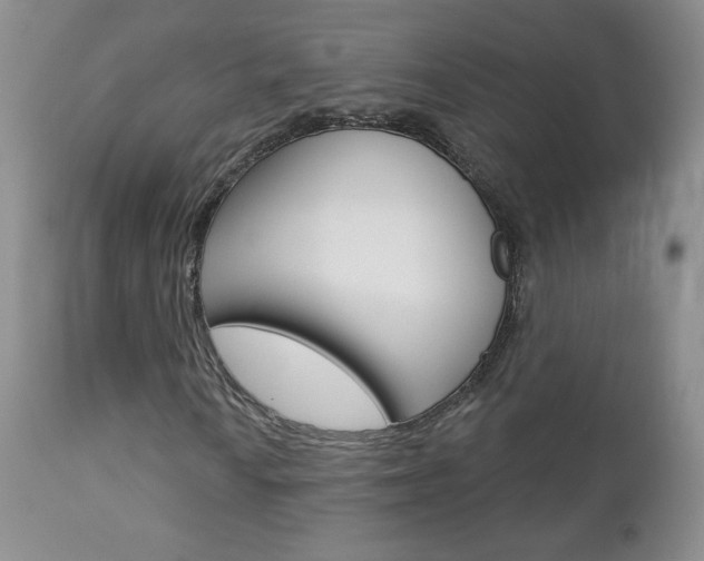 X0000112781010200908201409